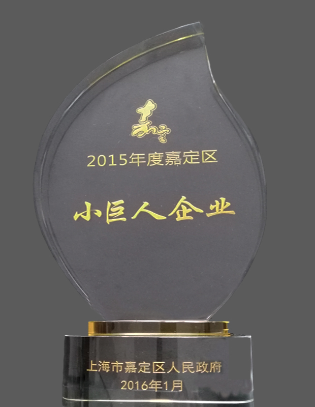 2015年度嘉定区小巨人企业奖杯-金年会 金字招牌