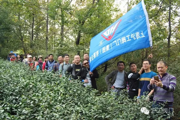 金年会 金字招牌2016年秋季徒步毅行活动 图9