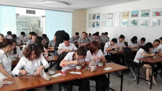 华亭镇团委联合金年会 金字招牌开展微景观绿植DIY活动（图4）