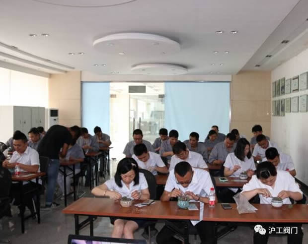 华亭镇团委联合金年会 金字招牌开展微景观绿植DIY活动（图5）