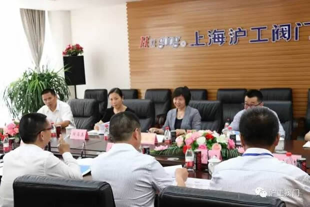 嘉定区副区长陆祖芳等领导一行莅临我公司视察指导工作（图2）