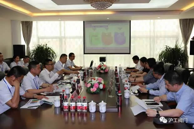 嘉定区副区长陆祖芳等领导一行莅临我公司视察指导工作（图3）