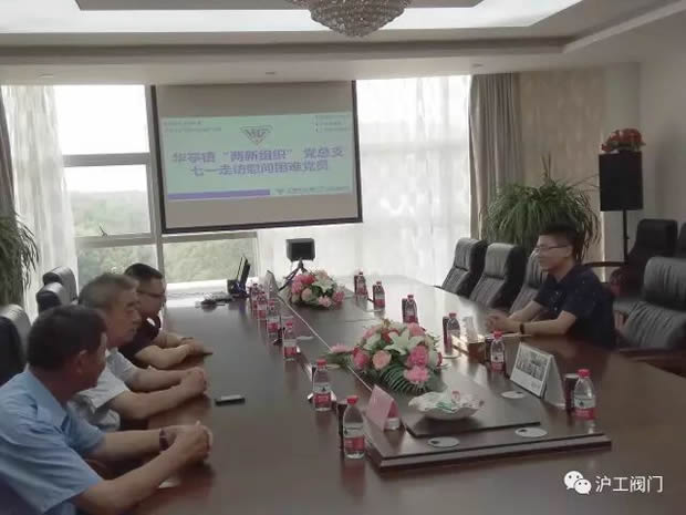 华亭镇“两新组织”党总支七一前夕走访慰问金年会 金字招牌困难党员（图1）
