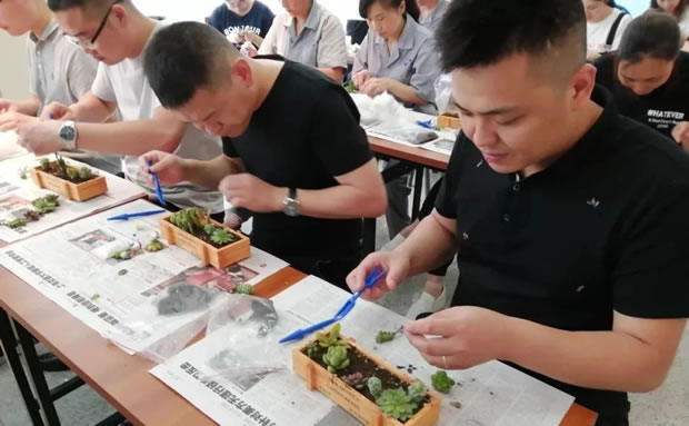 金年会 金字招牌绿色创意DIY活动（图2）